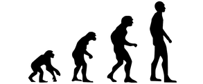 evoluzione