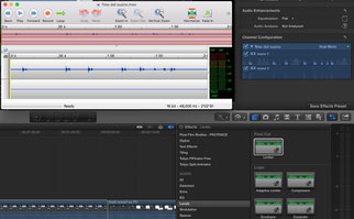 esempio di singolo canale su file stereo